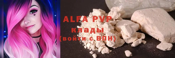 твердый Дмитров
