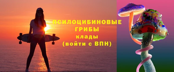 твердый Дмитров