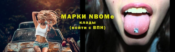твердый Дмитров