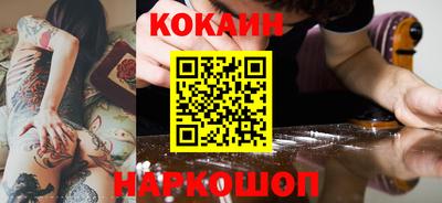 мдпв Кингисепп