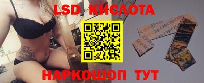 мдпв Кингисепп