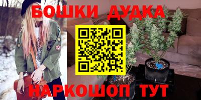 мдпв Кингисепп