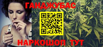 мдпв Кингисепп