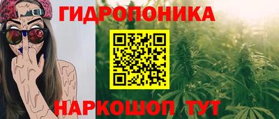 мдпв Кингисепп