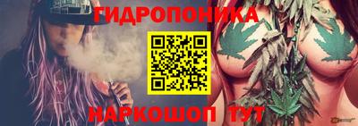 мдпв Кингисепп