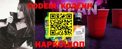 мдпв Кингисепп
