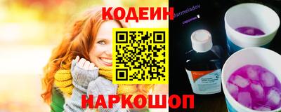 мдпв Кингисепп