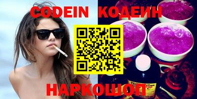 мдпв Кингисепп