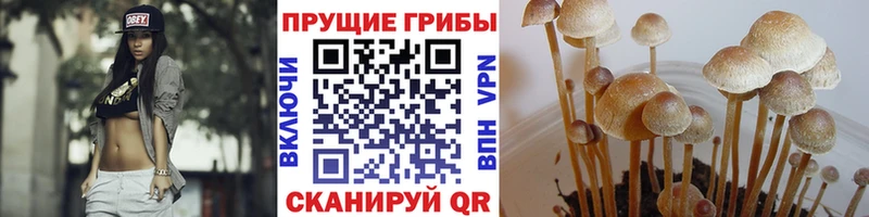 Галлюциногенные грибы мухоморы где продают наркотики Заринск