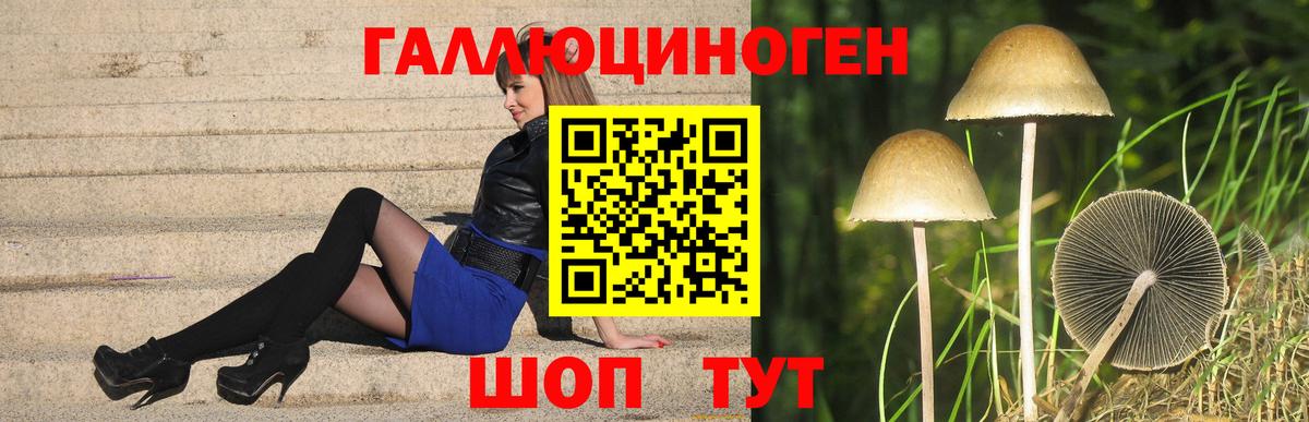 Заринск  Галлюциногенные грибы Psilocybe  Вход с VPN 