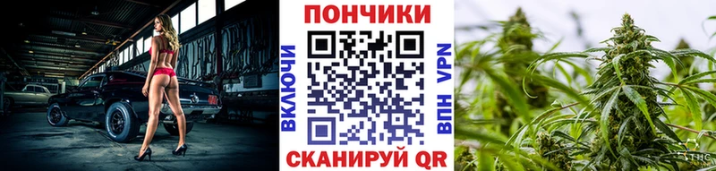 Каннабис индика Заринск
